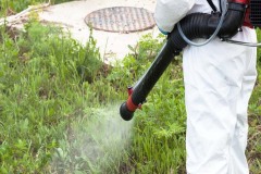 Pest Control