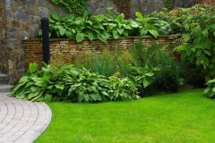 Garden nursery